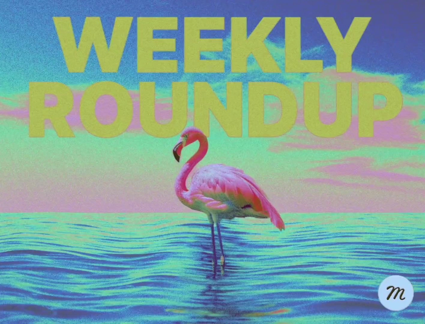 Weekly Roundup