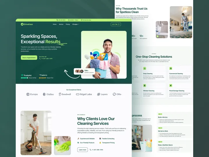 SineEase - Cleaning Agency Web Design 